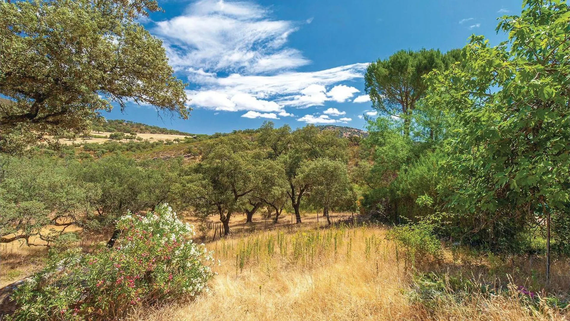 Cozy Home In Higuera De La Sierra With Wifi Higuera De La Sierra (Huelva)